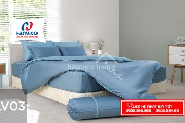 BỘ GA HANVICO LV 03