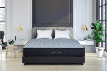 Đệm Lò xo phân vùng ERGO CARE