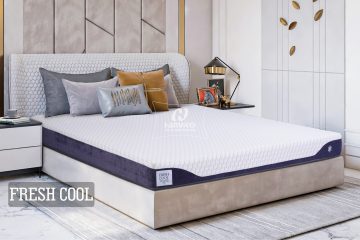 Topper đệm Foam GREENCORE 4 (4cm)