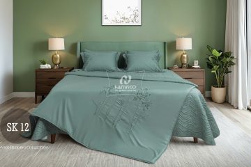 Bộ ga phủ SK12